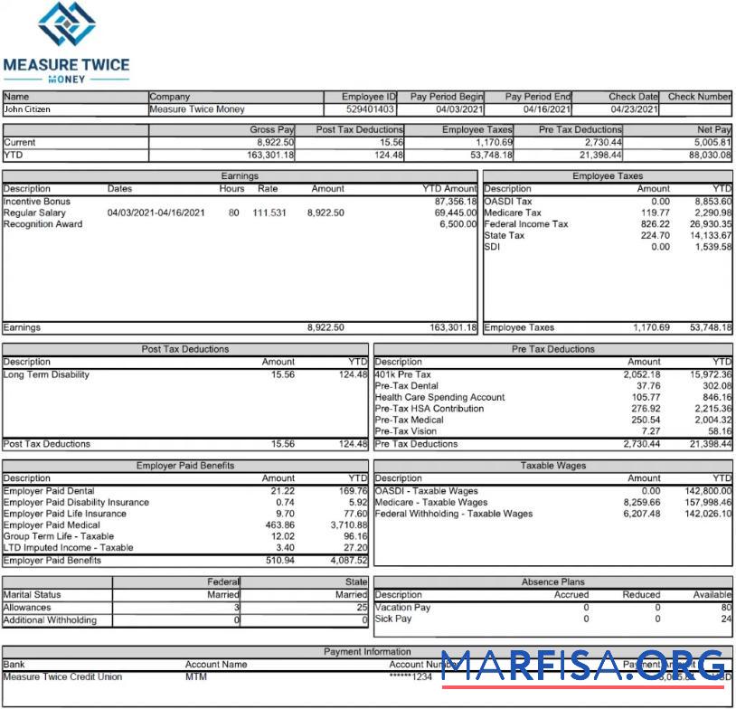 Realistic USA Measure Twice Financia payslip in template